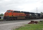 BNSF 3834